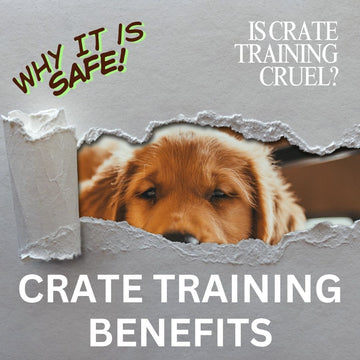 Benefits to dog crate training