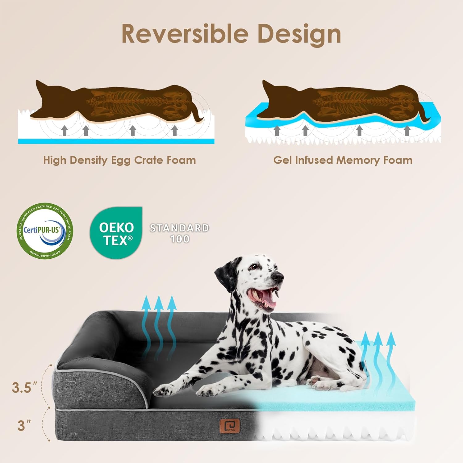 comfortable dog bed for lounger