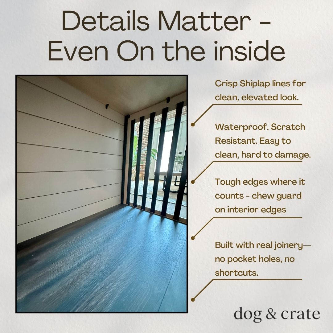 Designer dog crate interior