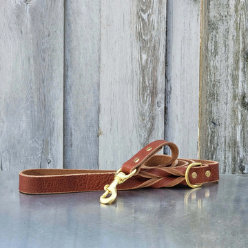 The Rover Leash