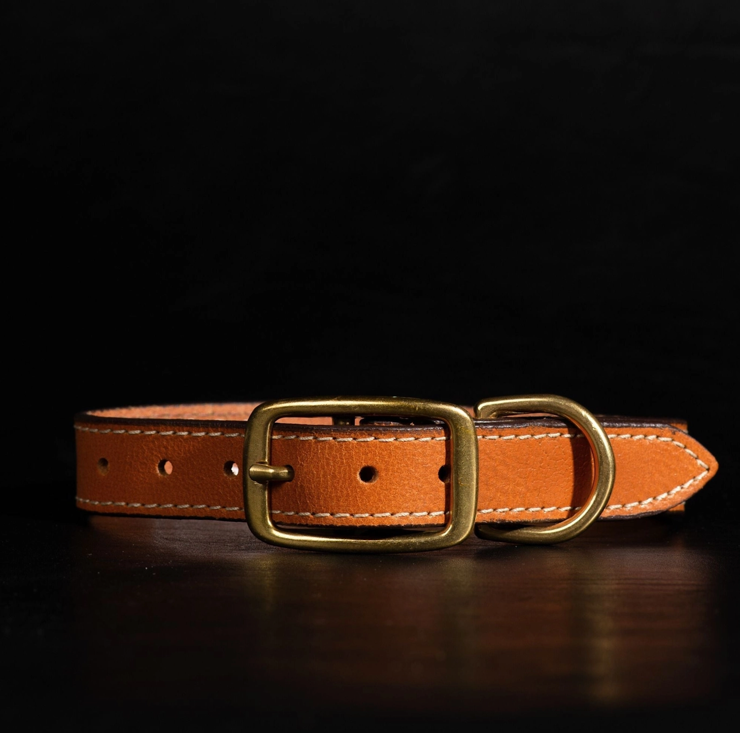 The Trailblazer Collar