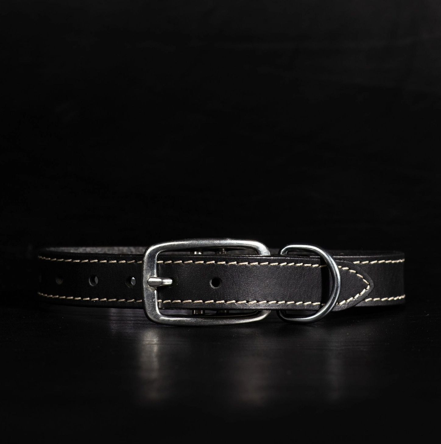 The Trailblazer Collar