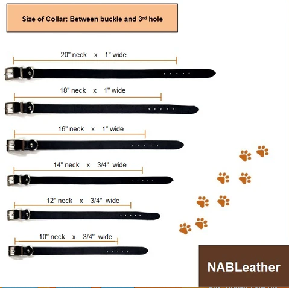 The Trailblazer Collar