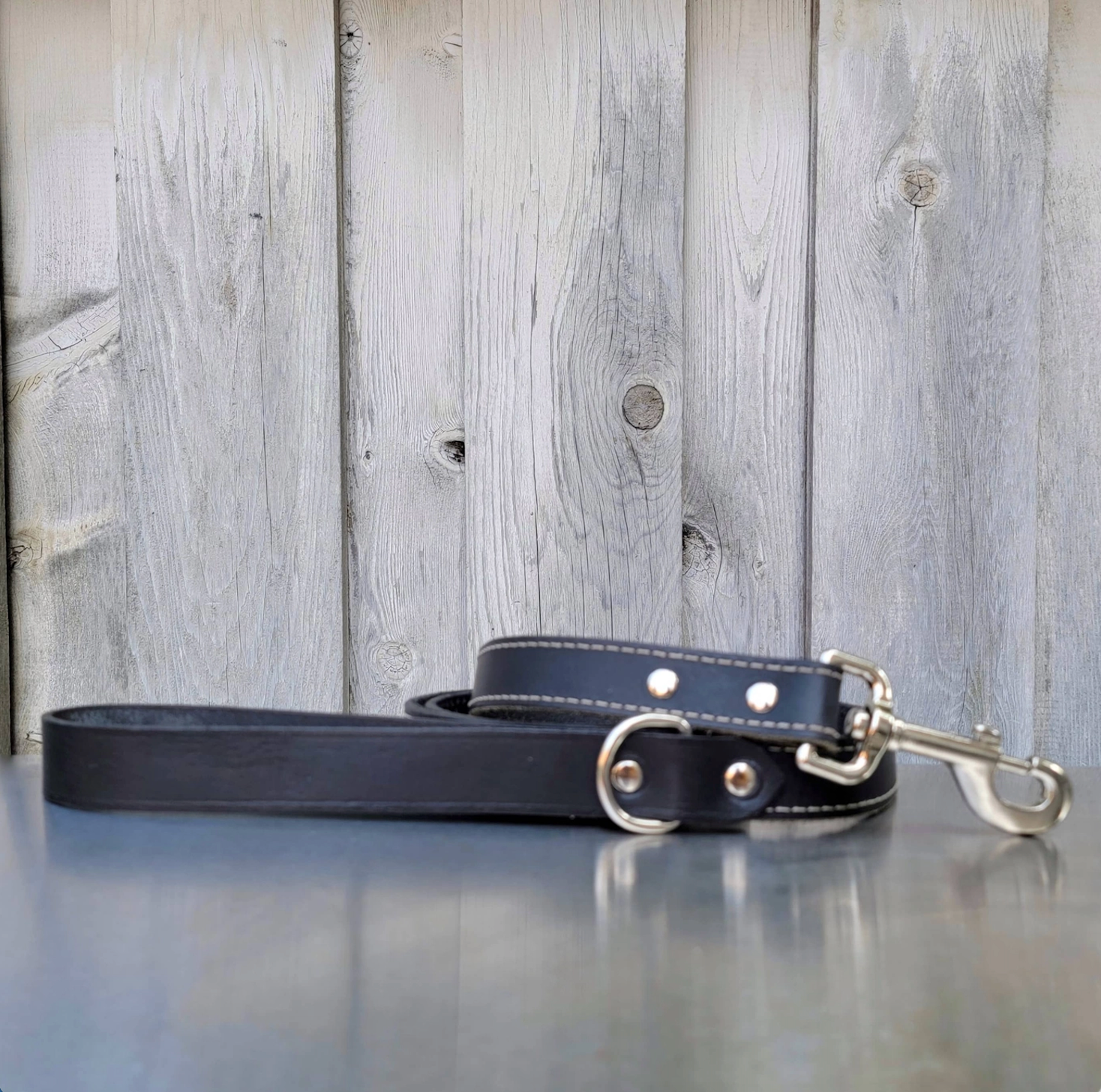 The Trailblazer leash