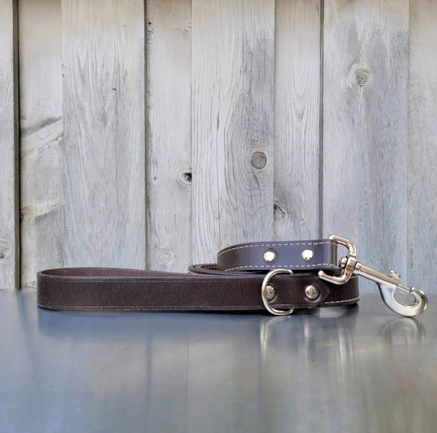 The Trailblazer leash