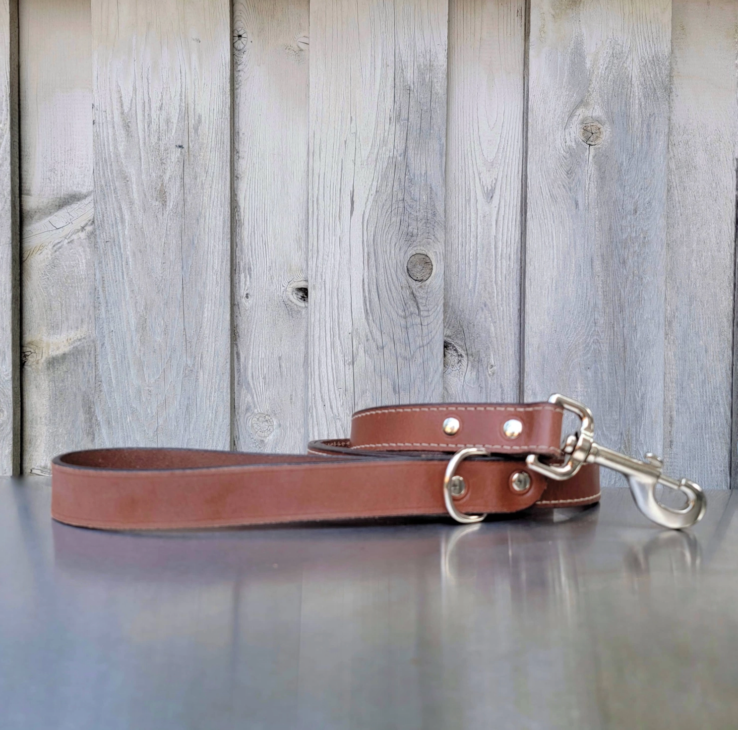 The Trailblazer leash