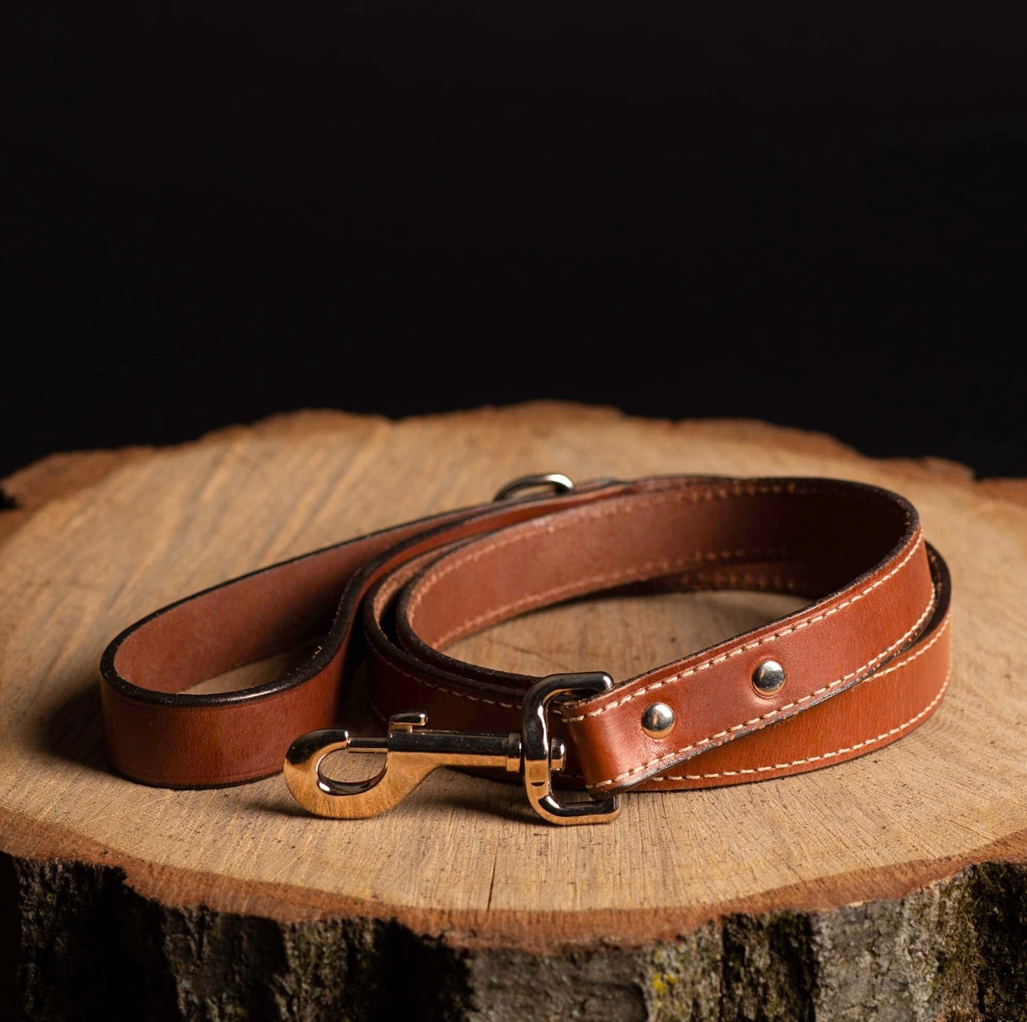 The Trailblazer leash