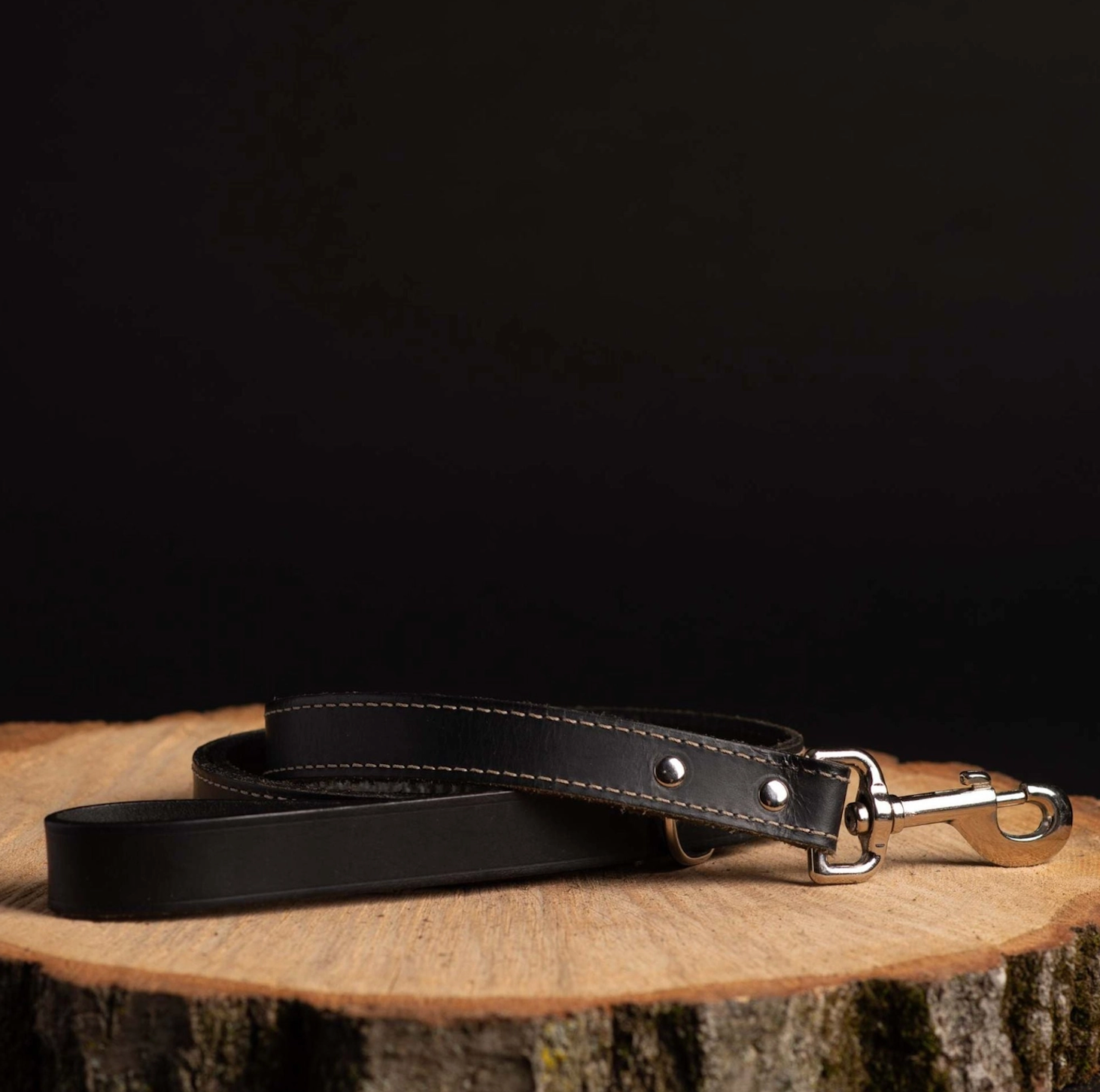 The Trailblazer leash