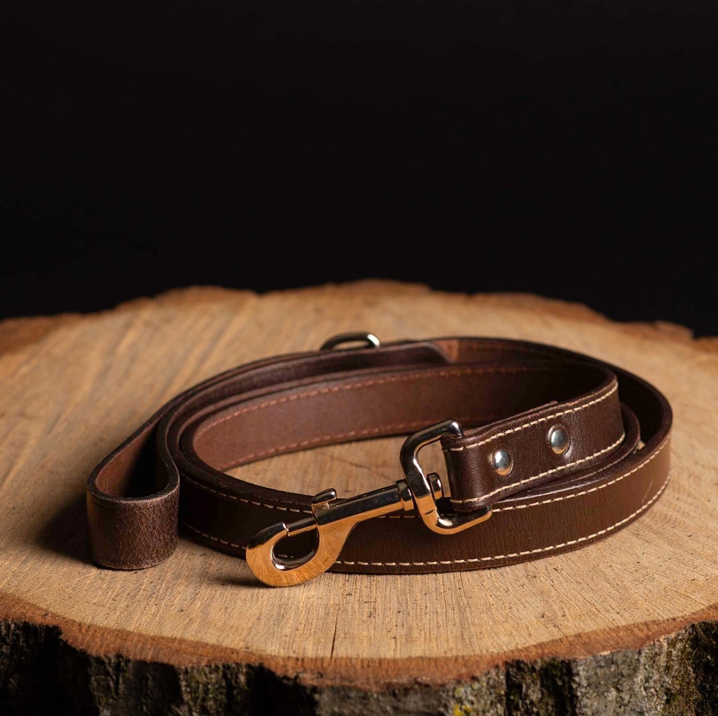 The Trailblazer leash