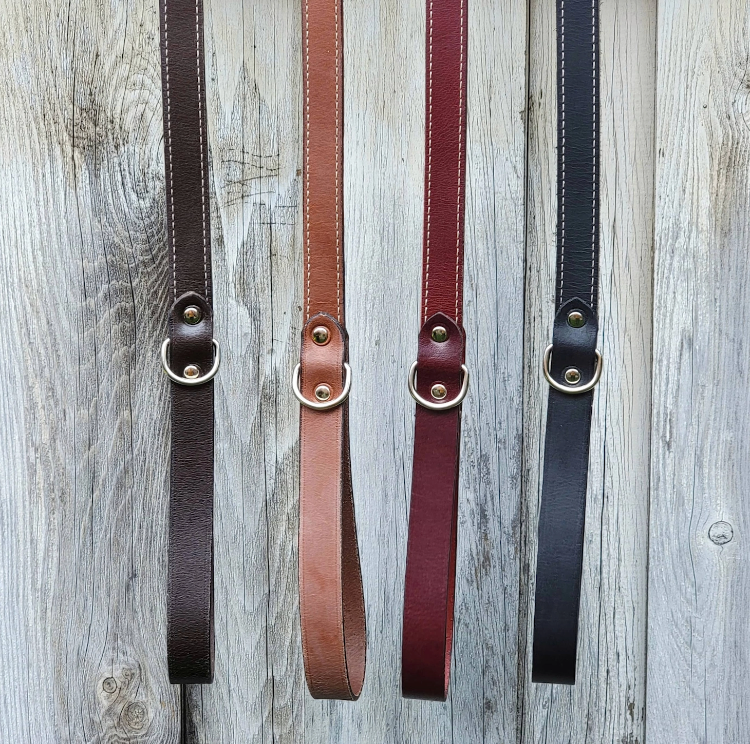 The Trailblazer leash