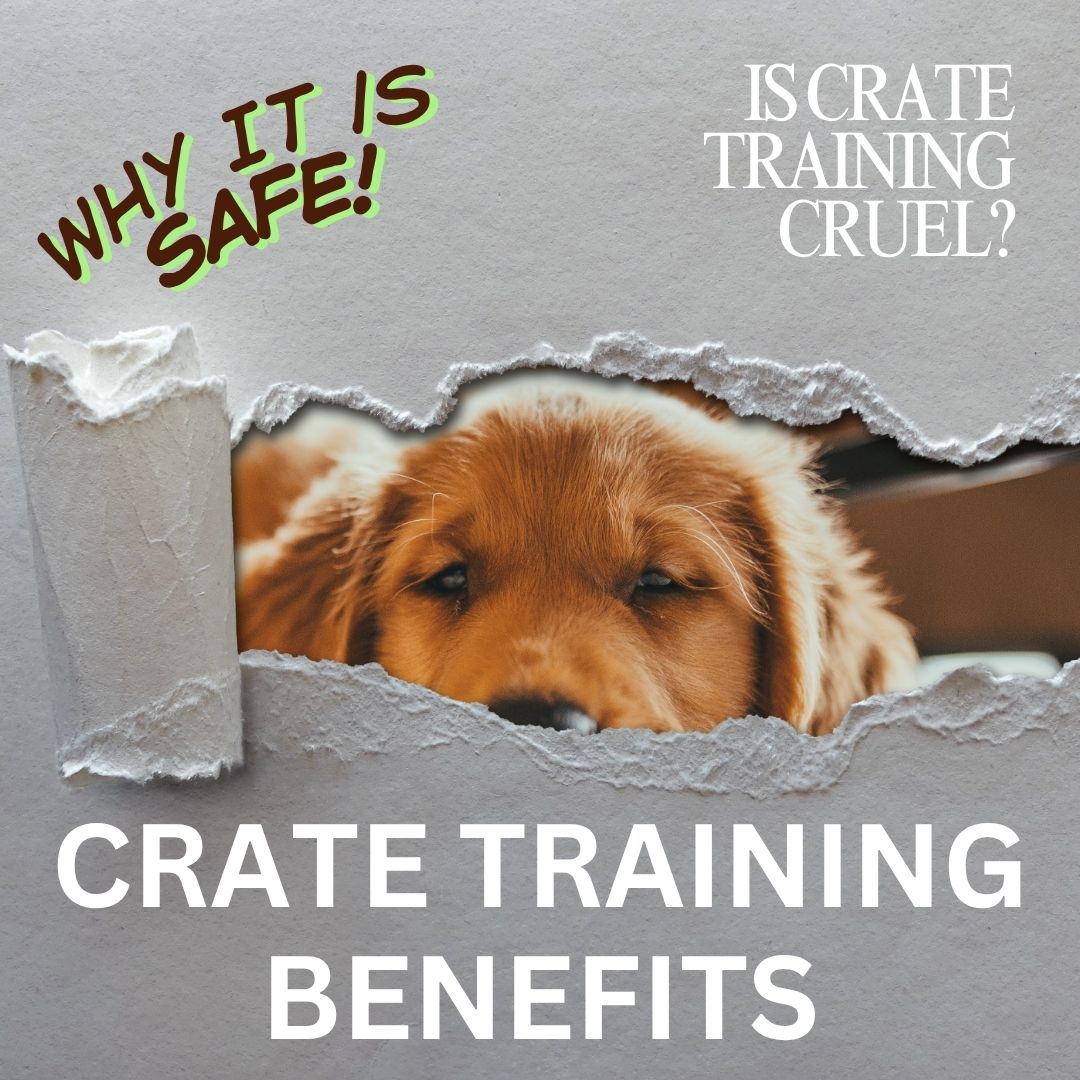 Benefits to dog crate training