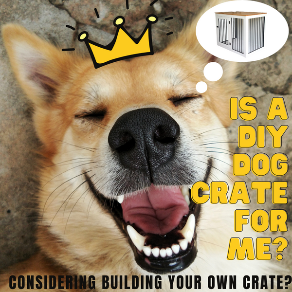 Is a DIY Dog Crate For Me?