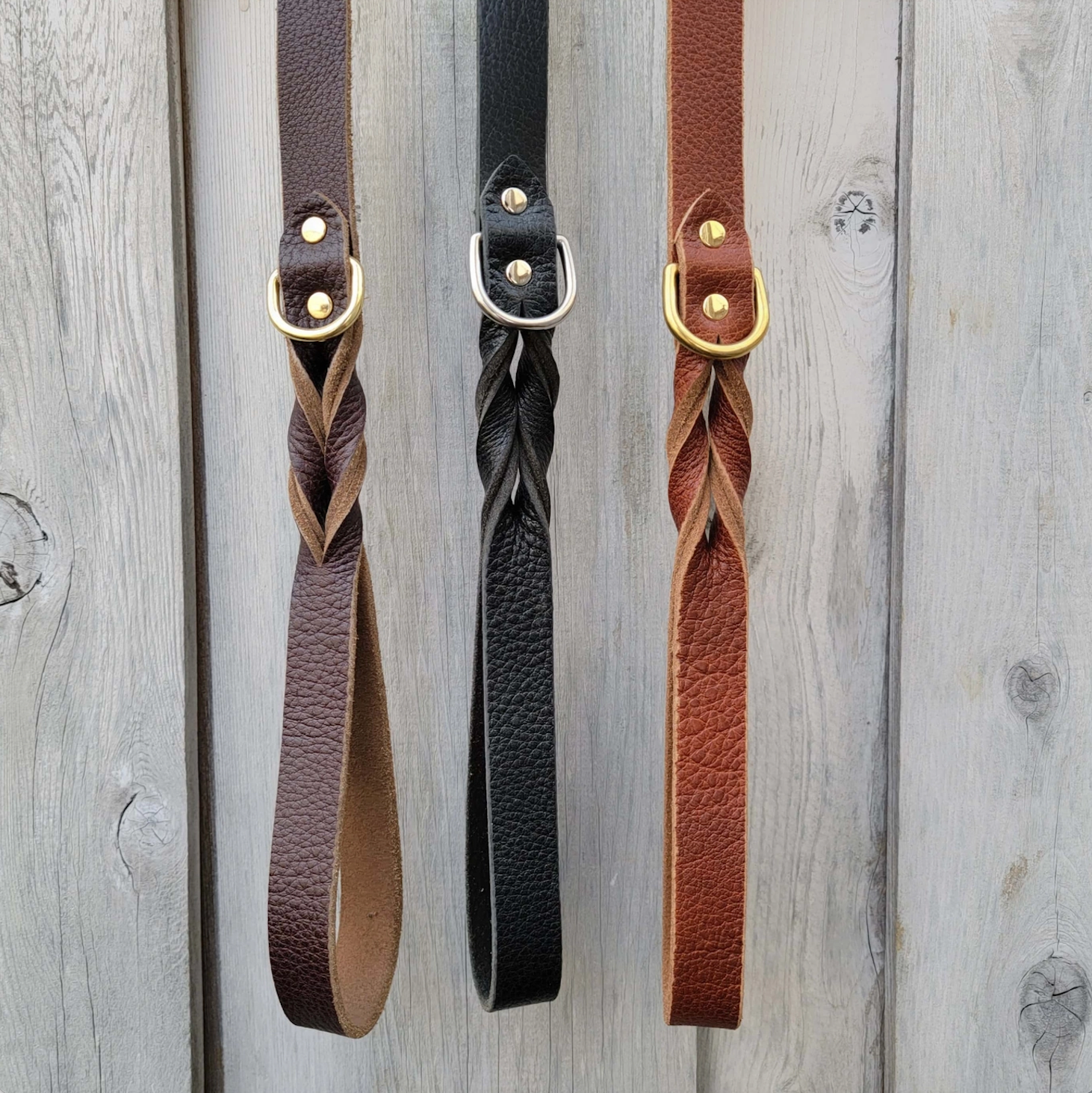The Rover Leash