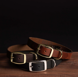 The Rover Dog Collar