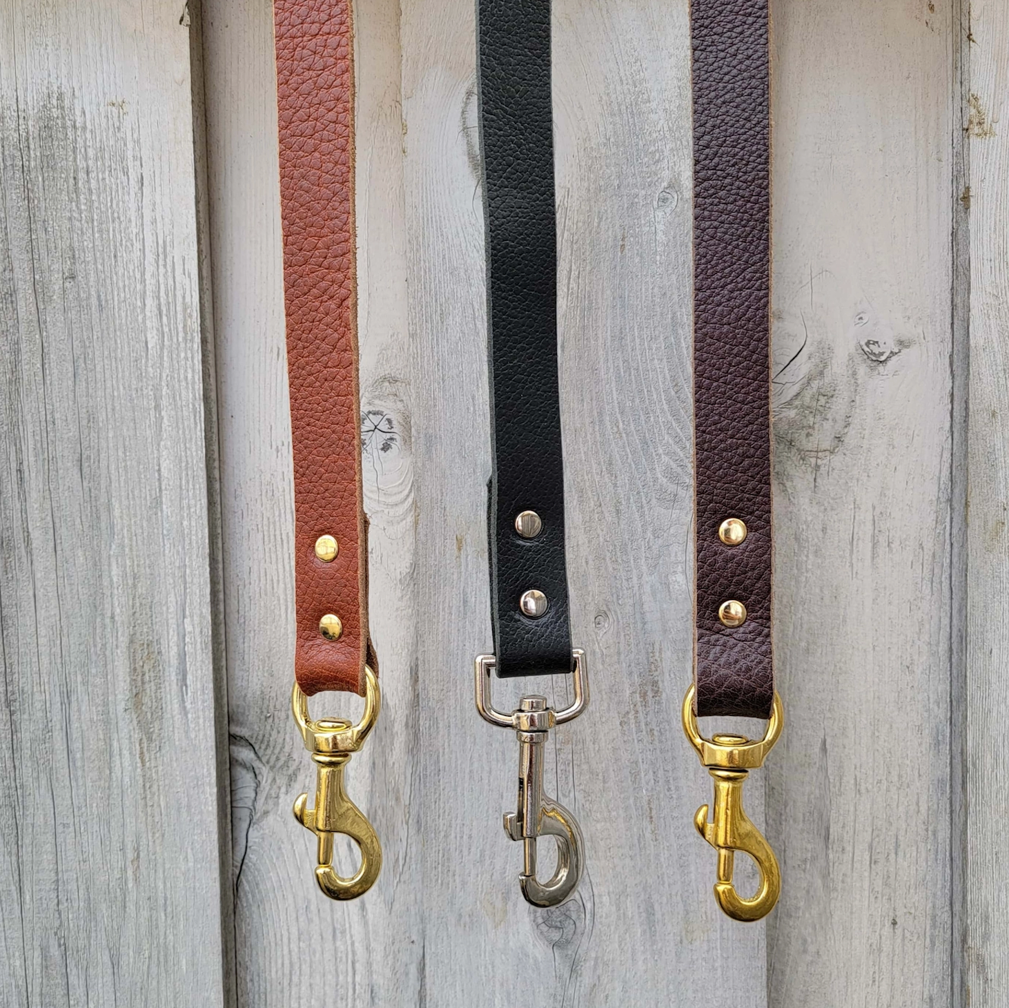 The Rover Leash