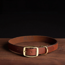 Load image into Gallery viewer, The Rover Dog Collar
