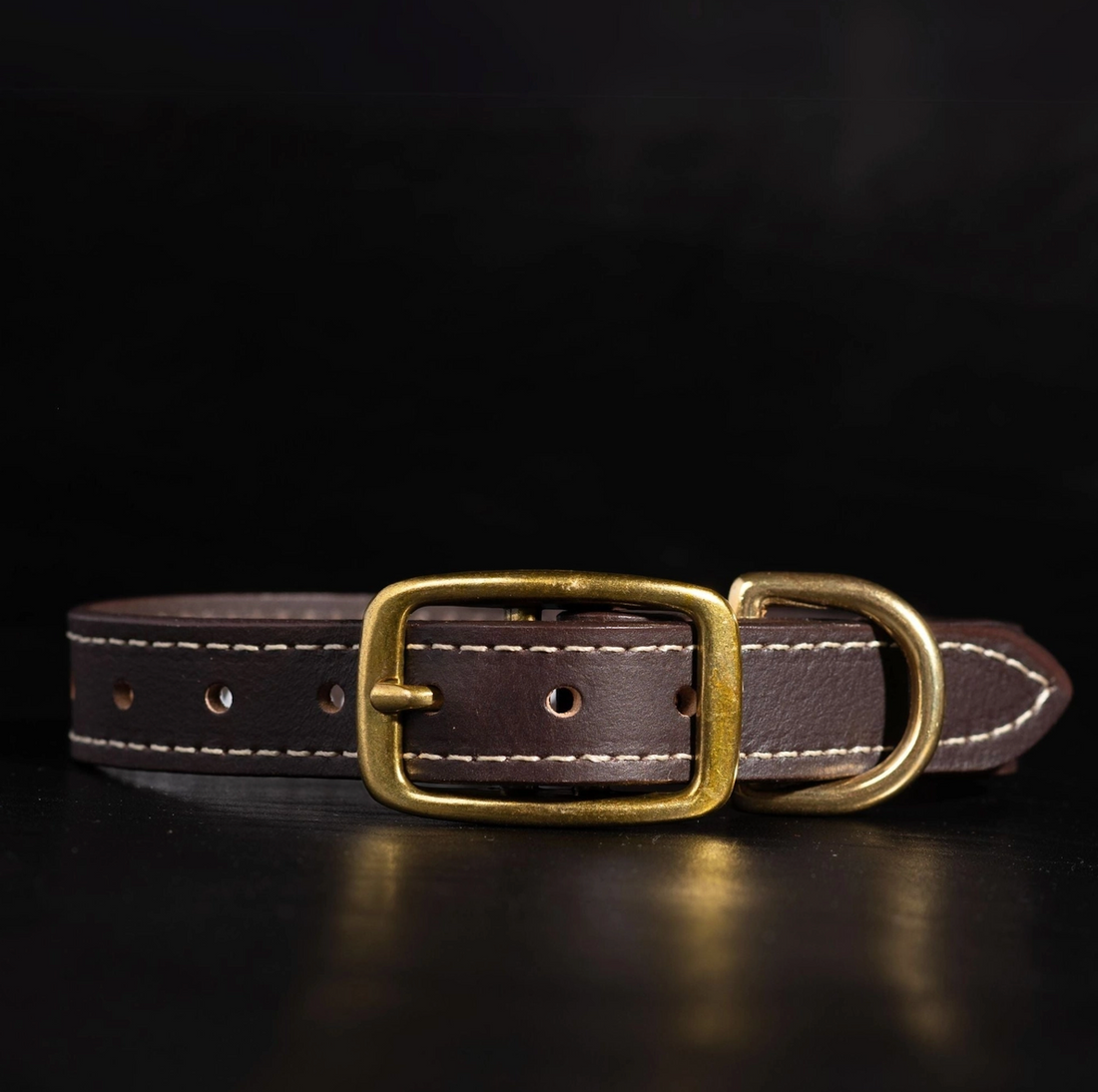 The Trailblazer Collar