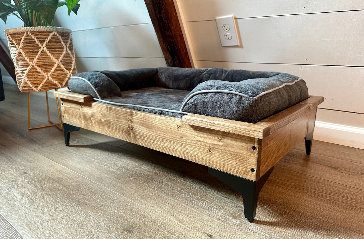 best dog bed options