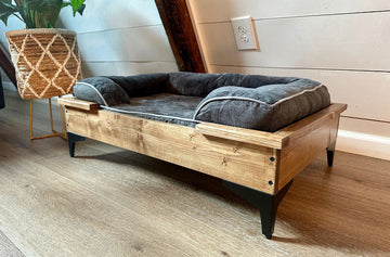 best dog bed options
