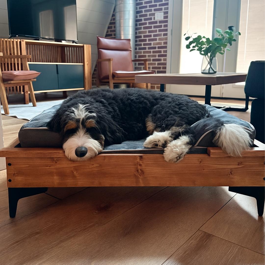 designer dog lounger