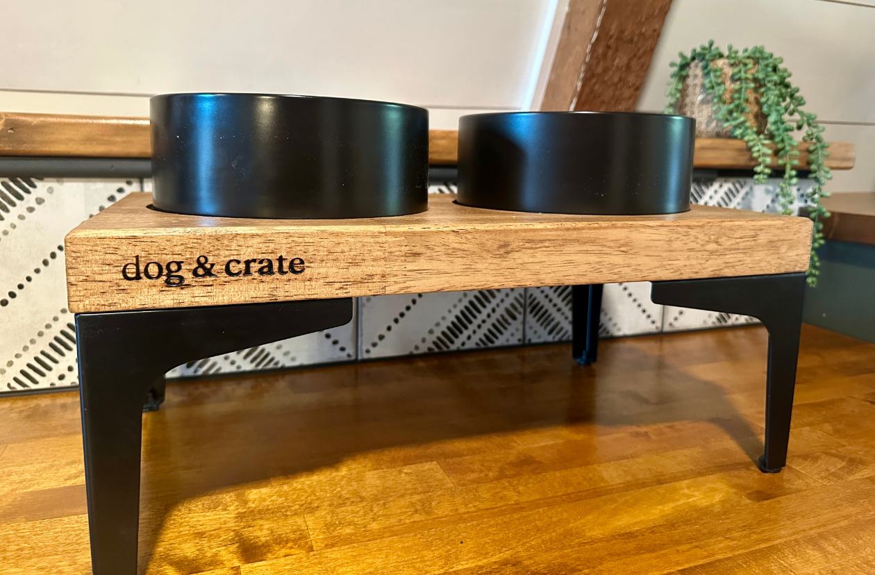 elevated dog bowls