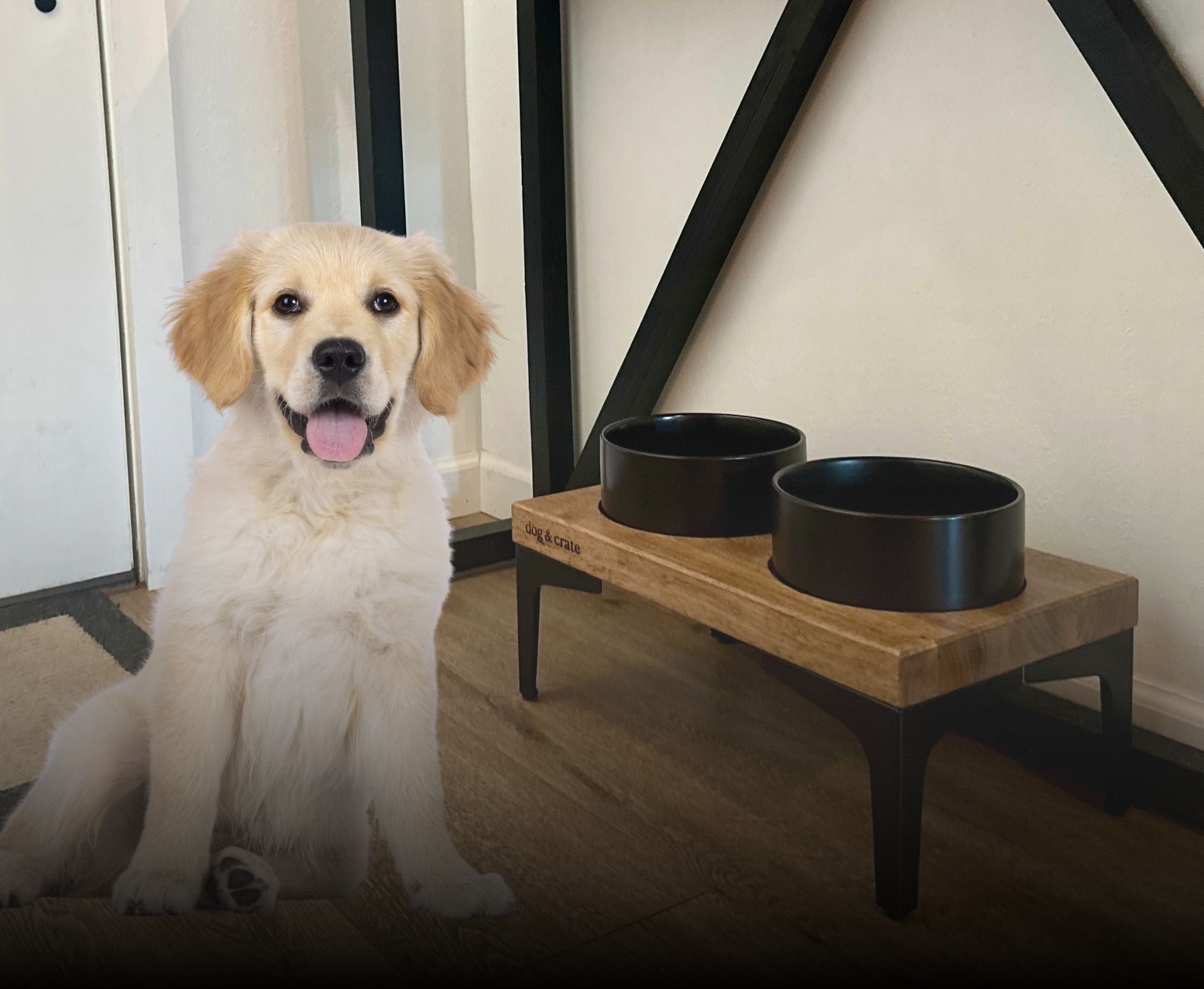 elevated sturdy dog bowl stands 